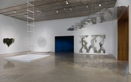 2_Teresita_Fernandez_InstallationViewGallery1