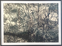 Oleta Mangroves 1, 2017, relief print on rice paper, 36 x 60 inches