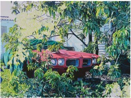 Tim Buwalda presents “Neighborhood Projects at LnS Gallery